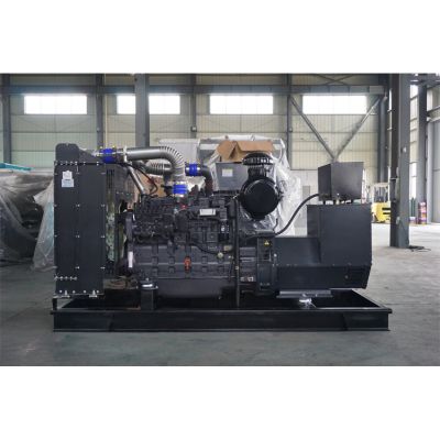 200kw上柴股份柴油發(fā)電機(jī)組-上柴股份6缸柴油機(jī)SC9D310D2柴油發(fā)電機(jī)組,缸徑/行程：135/150mm,柴油發(fā)電機(jī)組水冷發(fā)動(dòng)機(jī)功率228KW,柴油發(fā)電機(jī)組配套馬拉松斯坦福發(fā)電機(jī)。廠價(jià)直銷歡迎選購：13773399855。